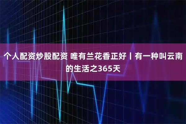 个人配资炒股配资 唯有兰花香正好丨有一种叫云南的生活之365天